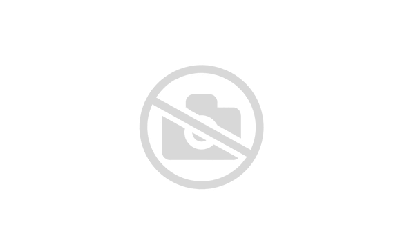 Кухонная мойка GRANULA Standart 7601